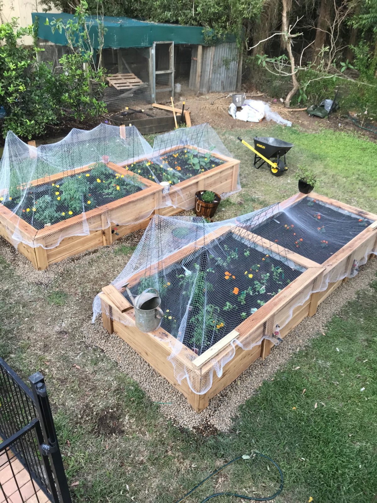 Wicking Garden beds in Corinda